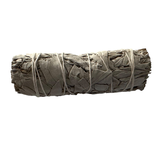 Sauge Blanche 10 cm